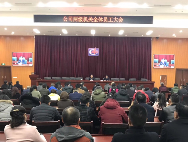 公司召開2018年兩級(jí)機(jī)關(guān)員工大會(huì)